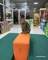 Toprak Veterinerlik Hizmetleri Ltd.şti