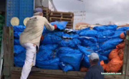 Tosunlar Tüp İpragaz Bayii Kömür Ve Pelet