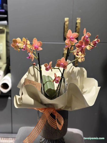 Trabzon Çiçek Sarayı