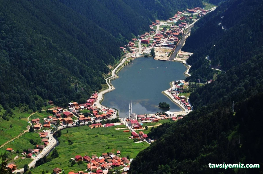 Trabzon Drone