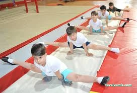 Trabzon Olimpik Jimnastik Kulübü