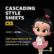 Trabzon Web Yazılım