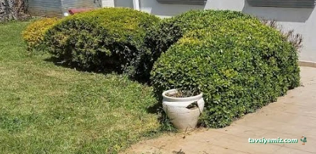 Trakya Temizlik Peyzaj