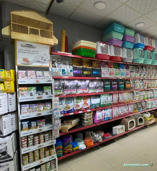 Trend Pet Market Petshop