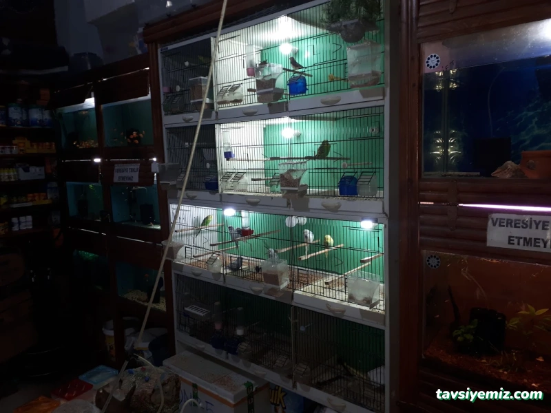 Tropikal Akvaryum & Pet Shop