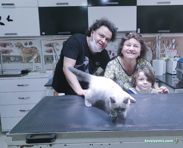 Tülin Hanım Veteriner Kliniği