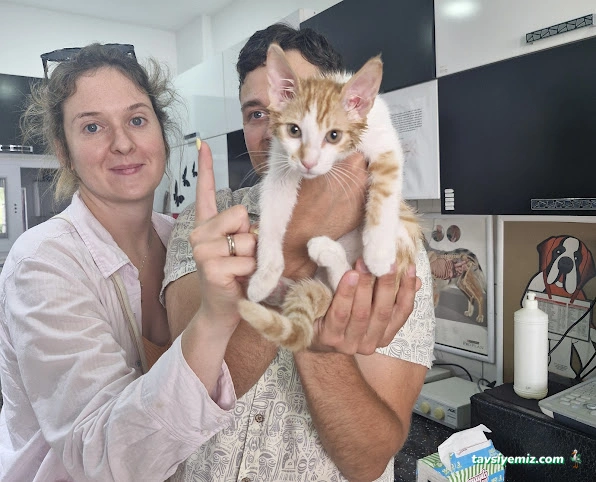 Tülin Hanım Veteriner Kliniği