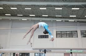 Tunceli Nrc Çilek Spor & Bale & Jimnastik Akademi