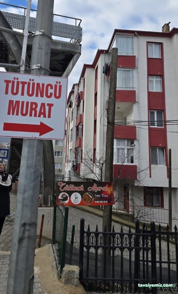 Tütüncü Murat