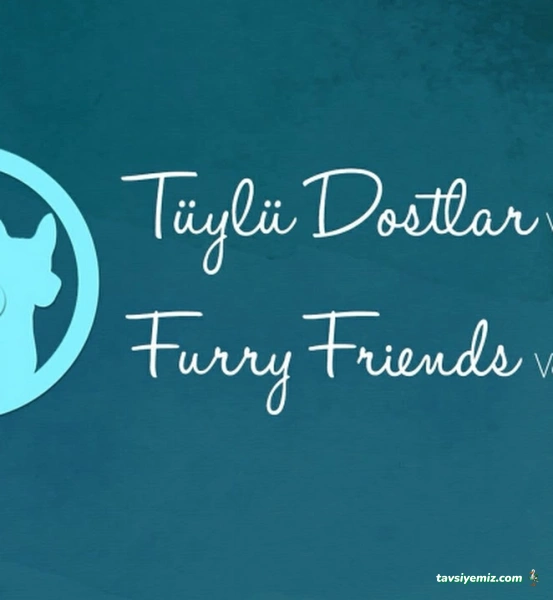 Tüylü Dostlar Veteriner Kliniği