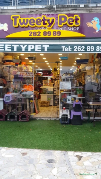 Tweety Pet