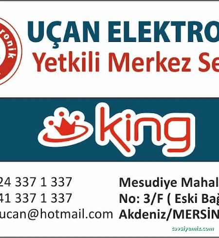 Uçan Elektronik Yetkili Servis
