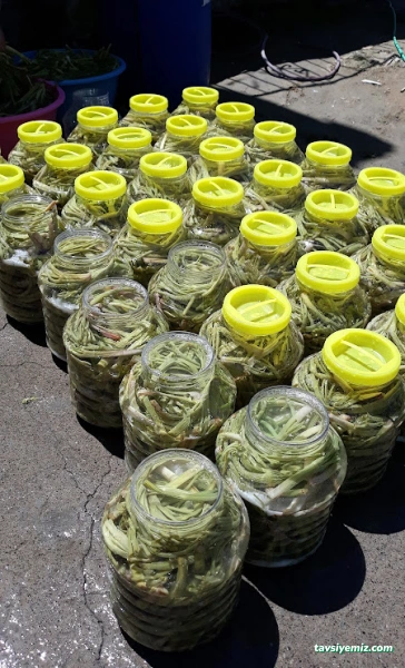 Ünaldı Bal Aktriye