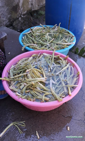 Ünaldı Bal Aktriye