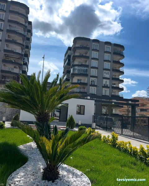 Urfa Kaya Peyzaj Çevre Düzenleme,Süs Bitkileri,Meyve Fidanları