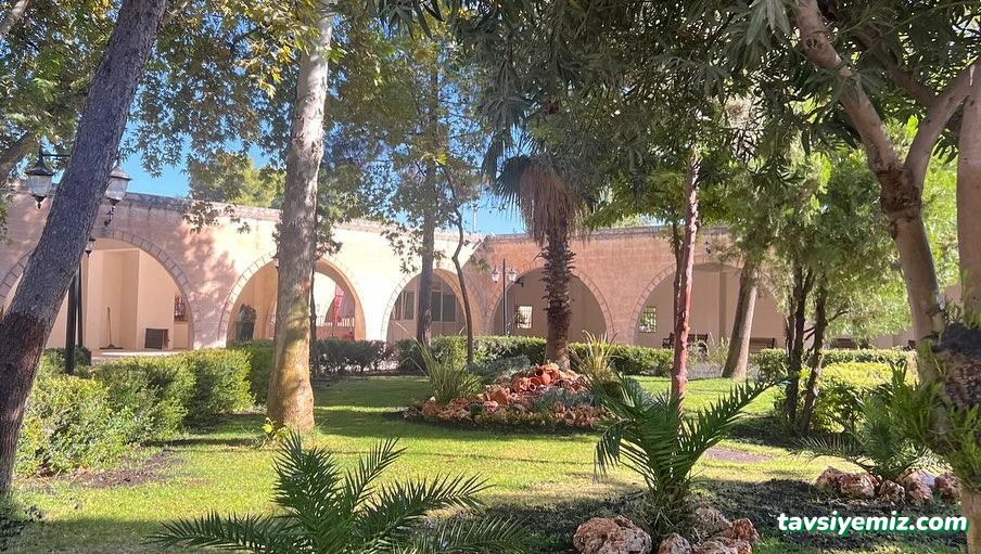 Urfa Kaya Peyzaj Çevre Düzenleme,Süs Bitkileri,Meyve Fidanları