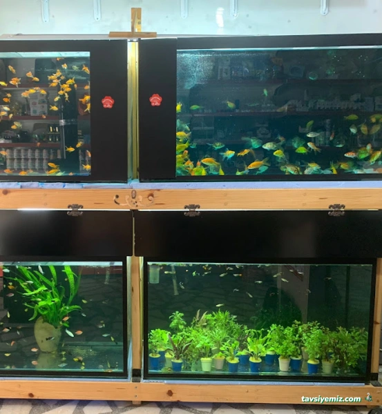 Ürgüp Pati Petshop