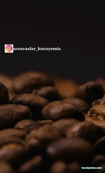 Ursavaşlar Kuruyemiş