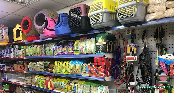 Uşak Casper Petshop