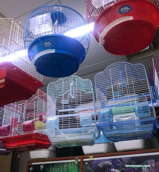 Uşak Casper Petshop