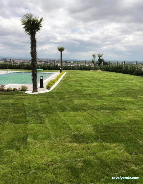 Uşak Yağmur Peyzaj