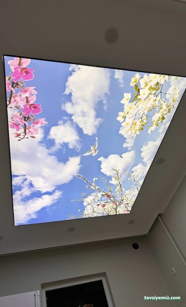 Usta Dekorasyon Rlze