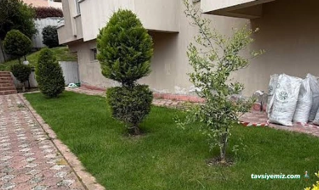 Uzgur Botanik  Bursa Peyzaj Bahçe Bakımı