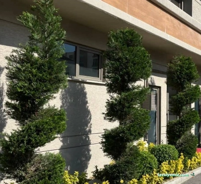 Uzgur Botanik  Bursa Peyzaj Bahçe Bakımı