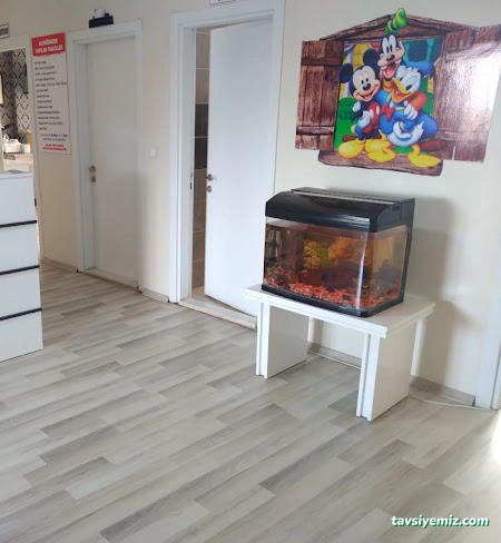 Uzm. Dr Yunus Yılmaz ( Kars Özel Çocuk Doktoru, Hacamat, Prp, Akapunktur)