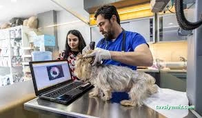 Uzman Veteriner Kliniği Vet. Hek. Mehmet Emre Köse