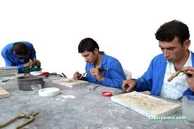 Vali Ali Paşa Mesleki Eğitim Merkezi