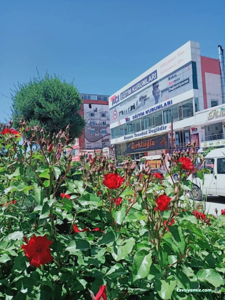 Van Açı Eğitim Kurumları Lgs