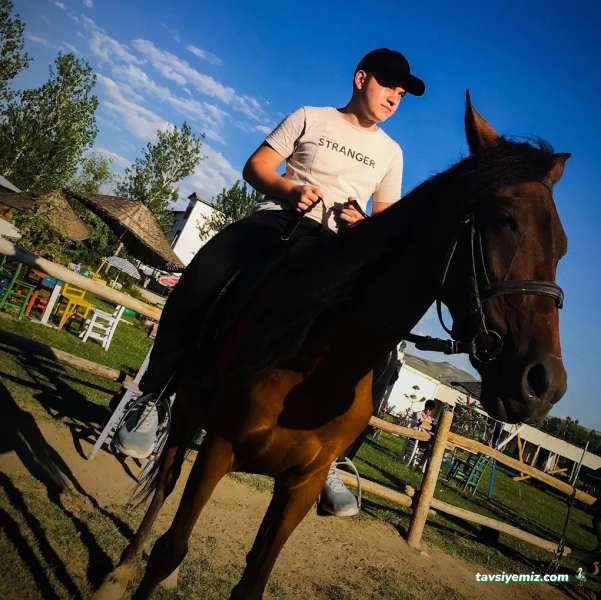 Van Atlı Spor Kulübü