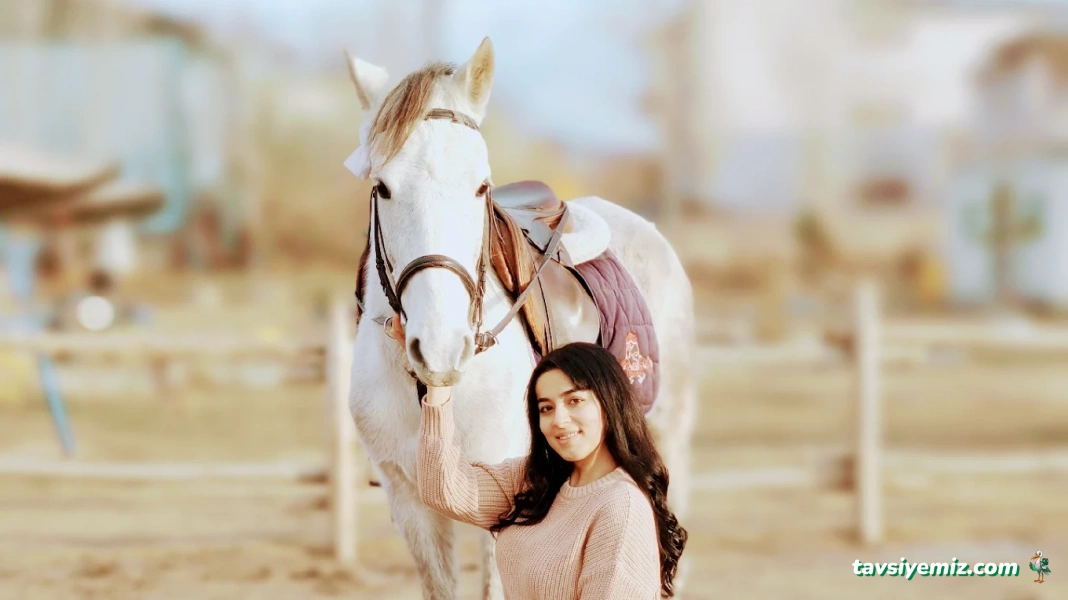 Van Atlı Spor Kulübü