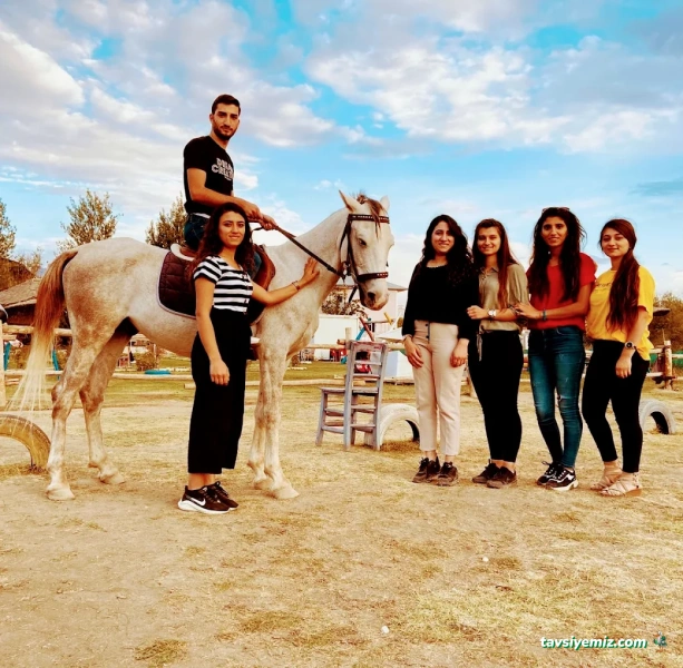 Van Atlı Spor Kulübü