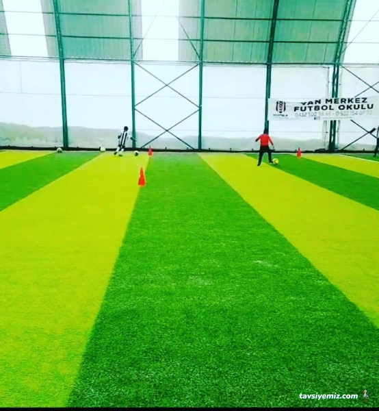 Van Beşiktaş Futbol Okulu