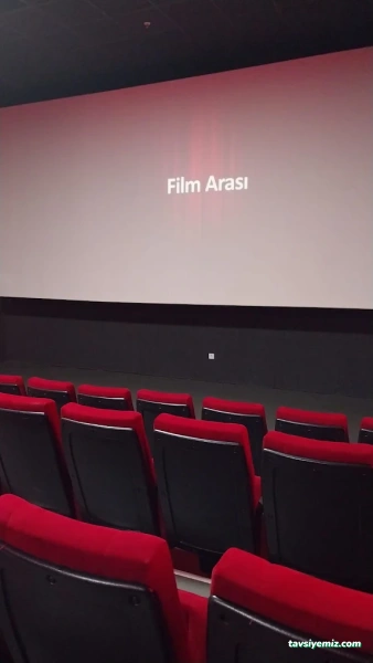 Van Cineplus Sinemaları