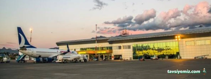 Van Ferit Melen Havalimanı (Van)