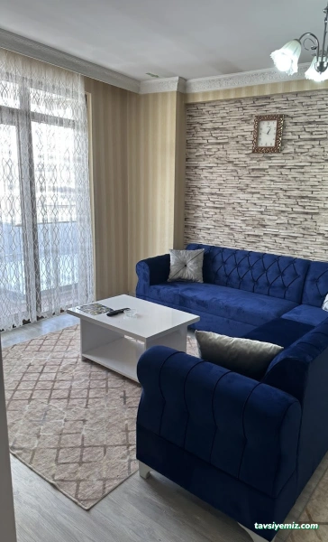 Van Günlük Daireler