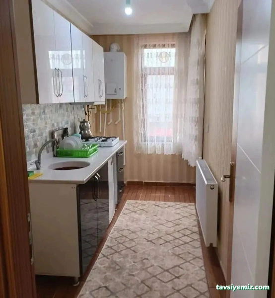 Van Günlük Daireler