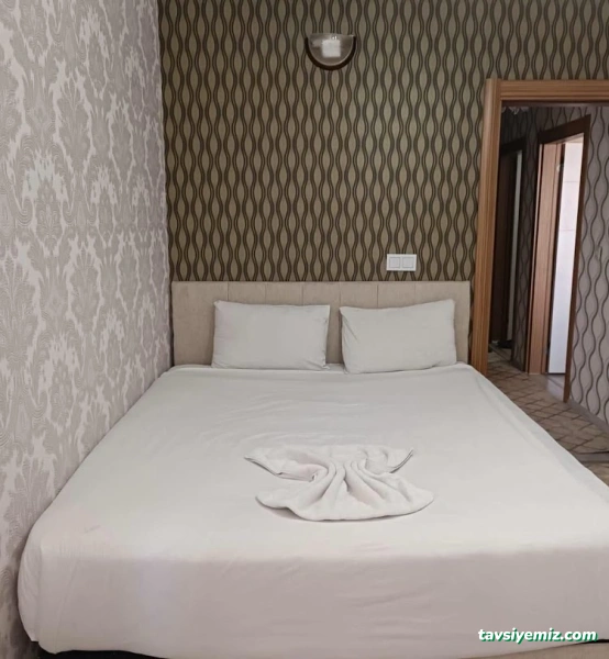 Van Günlük Daireler