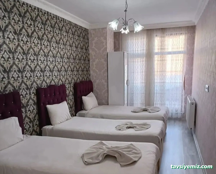 Van Günlük Daireler