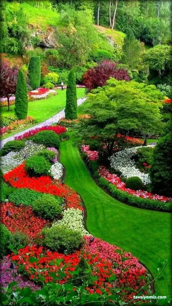 Van İpekyolu Peyzaj Ve Çiçekcilik