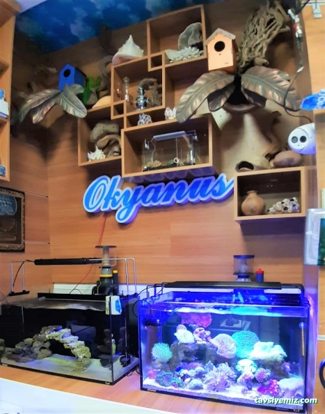 Van Okyanus Petshop