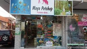 Van Petshop Mavi Su Petshop Ve Akvaryum