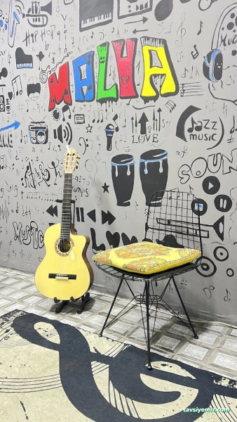 Van Resim Müzik Atölyesi Malva