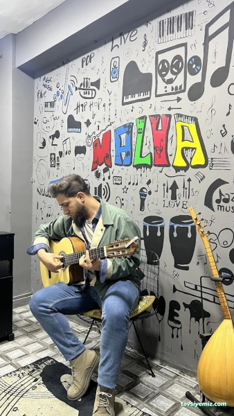 Van Resim Müzik Atölyesi Malva