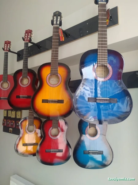 Vega Müzik Kursu Ve Sanat Akademisi Malatya