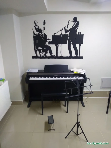 Vega Müzik Kursu Ve Sanat Akademisi Malatya