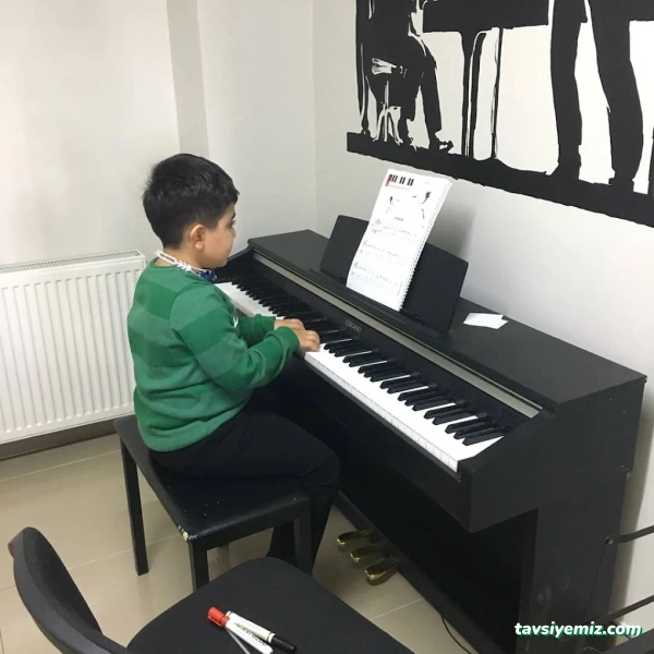 Vega Müzik Kursu Ve Sanat Akademisi Malatya